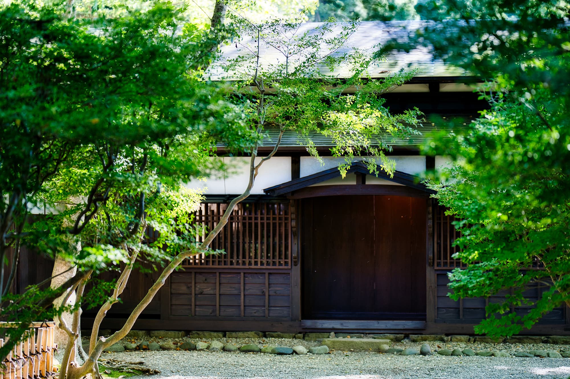 大人の旅風景